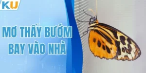 Mơ Thấy Bướm Bay Vào Nhà: Giải Mã Ý Nghĩa Cùng KUBET